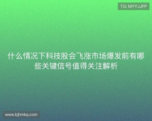 什么情况下科技股会飞涨市场爆发前有哪些关键信号值得关注解析